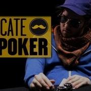 SURICATE Le Poker
