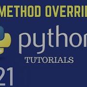 Python 3 9 Tutorials Method Overriding In Python Types Of Polymorphism Polymorphism Inheritance
