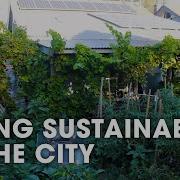 Sustainable City Living On 1 10th Of An Acre Degrowth In The Suburbs