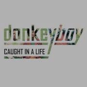 Donkeyboy Broke My Eyes HD