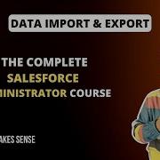 Мастер импорта и экспорта данных Полный курс для администраторов Salesforce