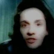 Dark Star Graceadelica Promo