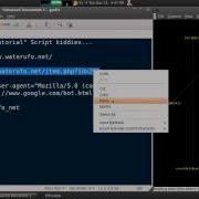 SqLMap Tor On Backtrack 5 R2