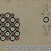 How Does Water Dissolves Salt