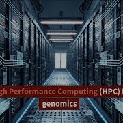 High Performance Computing HPC For Genomics