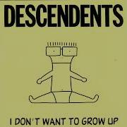 Descendents Good Good Things