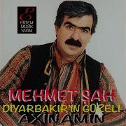 Makaram Sarı Bağlar