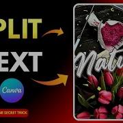 Canva Split Text Image Step By Step Tutorial