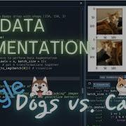 Python Data Augmentation Using ImageDataGenerator Tensorflow DataAugmentation Kaggle