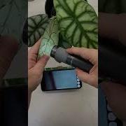 Handheld Microscope