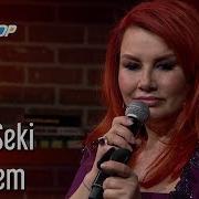 Gidemem Deniz Seki