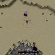 This Is What Mace Elytra Looks Like