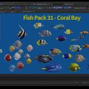 Fish Pack 31 Maya Project Rig Animations