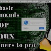 Top 10 Linux Commands You Need To Know Linux Basic Commands Every Beginner Should Know 2025