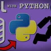 How To Use SQL With Python