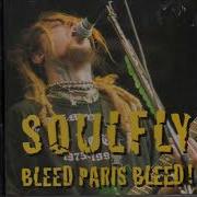 Soulfly Live In Paris 1998 Full Performance SBD Audio