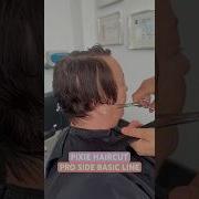 Pixie Haircut Pro Basic Line Complete Tutorial Linked Below