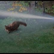 Orbit 62100 Yard Enforcer Motion Activated Sprinkler With Day Night Detection Modes