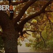 5 October CMS создаём меню