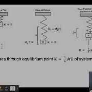 Vertical Spring Mass Oscillators