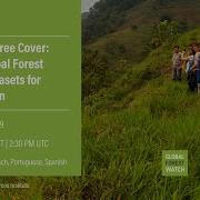 Webinar Tracking Tree Cover Using Global Forest Watch Datasets For Restoration English