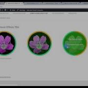 Kobra Hover Effects Wordpress Visual Composer Plugin Video Tutorial How To Use
