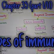 Types Of Immunity Chapter 35 Part 1 Guyton And Hall Text Book Of Physiology