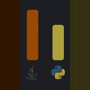 Python V S Java Shorts