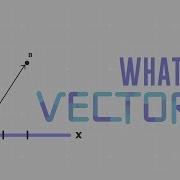 What Is A Vector David Huynh