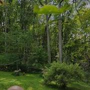 How I Setup My 3D Tournament Bow Aim Small