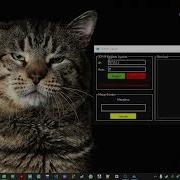 QT C TCP IP Client
