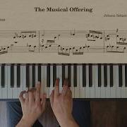 The Musical Offering BWV 1079 Canon A 2 Per Tonos