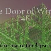 The Door Of Winter 4K An Astro Macro Timelapse Story