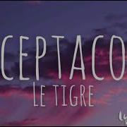 Deceptacon Le Tigre Lyrics