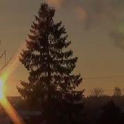 Олег Капралов Я опускаюсь на колени Петлюра
