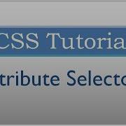 CSS Tutorial 35 Attribute Selectors