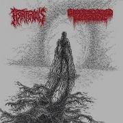 Bloodsoaked Necrovoid Encased Emanations Of Scourging Suffering