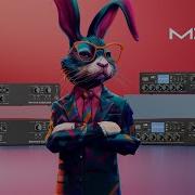 CVGAUDIO MDA Мощные матричные микшеры усилители для многозонного звучания