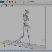 Visual3D Video Tutorial Report Building Add An Image To Report Manual