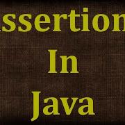 Java Tutorial 21 Assertions In Java Assert In Java Java Tutorials By Java9s