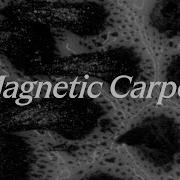 Magnetic Carpet A Controllable Magnetically Responsive Surface