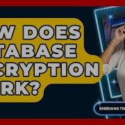 How Does Database Encryption Work Emerging Tech Insider