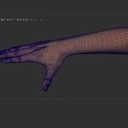 Fingernail Morphing Algorithm