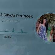 Lavîn Seyda Perînçek GUNEHKAR