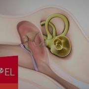 Mixed Hearing Loss Sensorineural And Conductive Hearing Loss MED EL
