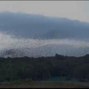 BBC Autumnwatch 2013 Episode 1 Part 1