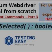 IsSelected Command In Selenium Testing Webelement Youtube Shorts Selenium Java Webdriver