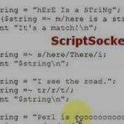 Perl Tutorial 24 Regular Expressions Basics
