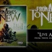 From Ashes To New Live Again