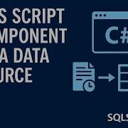 Using The SSIS Script Component